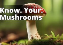 Amanita Muscaria Dangers: What You Need To Know To Stay Safe