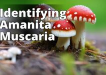 The Ultimate Guide To Amanita Muscaria Preparation And Dosage