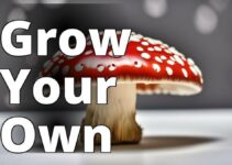 The Ultimate Guide To Amanita Muscaria Cultivation For A Bountiful Mushroom Harvest