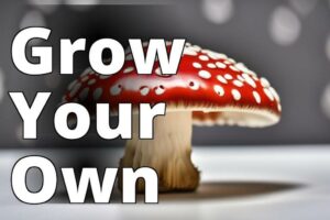The Ultimate Guide To Amanita Muscaria Cultivation For A Bountiful Mushroom Harvest