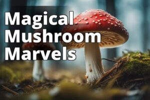 Amanita Muscaria: The Superfood With Incredible Benefits