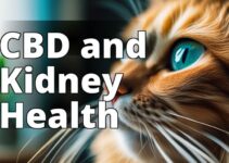 Boost Your Cat’S Kidney Health With Cbd Oil: A Complete Guide