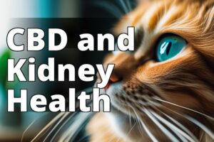 Boost Your Cat’S Kidney Health With Cbd Oil: A Complete Guide