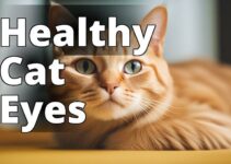 Boost Your Cat’S Well-Being: The Amazing Benefits Of Cbd Oil For Urinary Tract Health In Cats
