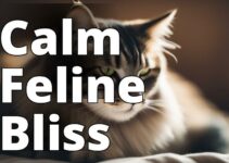 Unveiling The Power Of Cbd Oil For Anxious Cats: A Complete Guide To Relieving Stress And Promoting Serenity