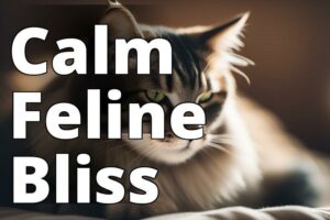 Unveiling The Power Of Cbd Oil For Anxious Cats: A Complete Guide To Relieving Stress And Promoting Serenity