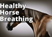 Discover The Remarkable Benefits Of Cbd Oil For Respiratory Health In Horses