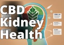Boost Your Kidney Health With Cbd Oil: The Ultimate Guide