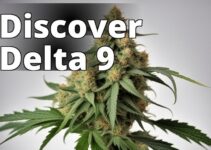 The Ultimate Guide To Delta 9 Thc Strain: Benefits, Effects, And Growing Tips