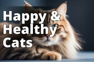 The Power Of Cbd Oil: A Game-Changer For Weight Management In Cats