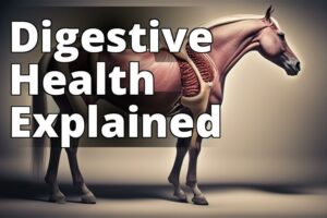 Revolutionize Your Horse’S Digestive Health With Cbd Oil: A Definitive Guide