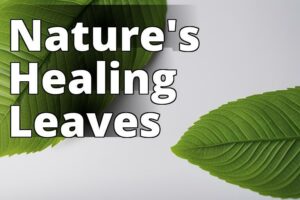 The Ultimate Guide To Medicinal Uses Of Kratom Leaves