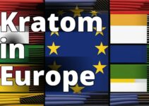 The Current State Of Kratom Regulations In Europe: Uncovering Challenges And Solutions