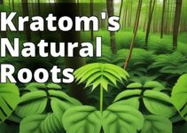 Kratom: An Integral Part Of Asian Culture And Heritage