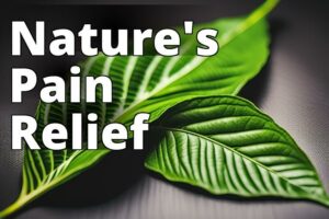 The Ultimate Guide To Using Kratom For Pain Relief