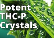 Unraveling The Mystery: Exploring Thc-P And Its Potential Impact