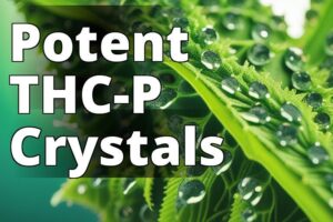 Unraveling The Mystery: Exploring Thc-P And Its Potential Impact