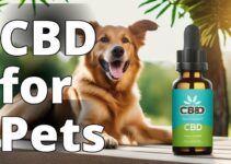 A Comprehensive Guide To Cbd Pet Oil: Everything You Need To Know