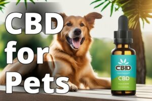 A Comprehensive Guide To Cbd Pet Oil: Everything You Need To Know